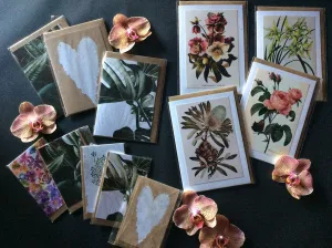 Beautiful Greeting Card