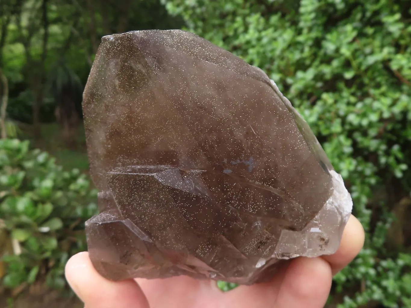 Natural Large Smokey Quartz Crystals x 3 From Malawi